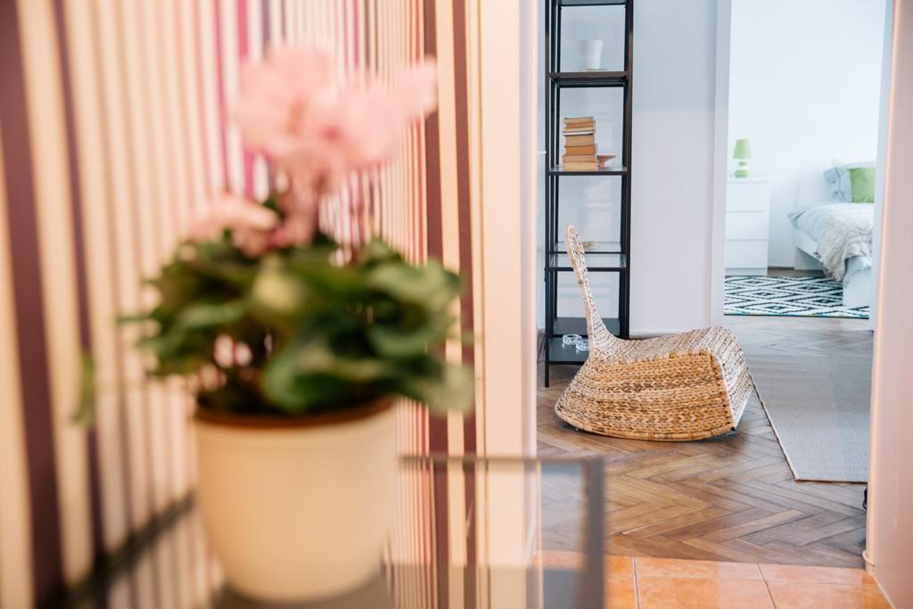 Neo Apartment Horea Cluj-Napoca Ngoại thất bức ảnh