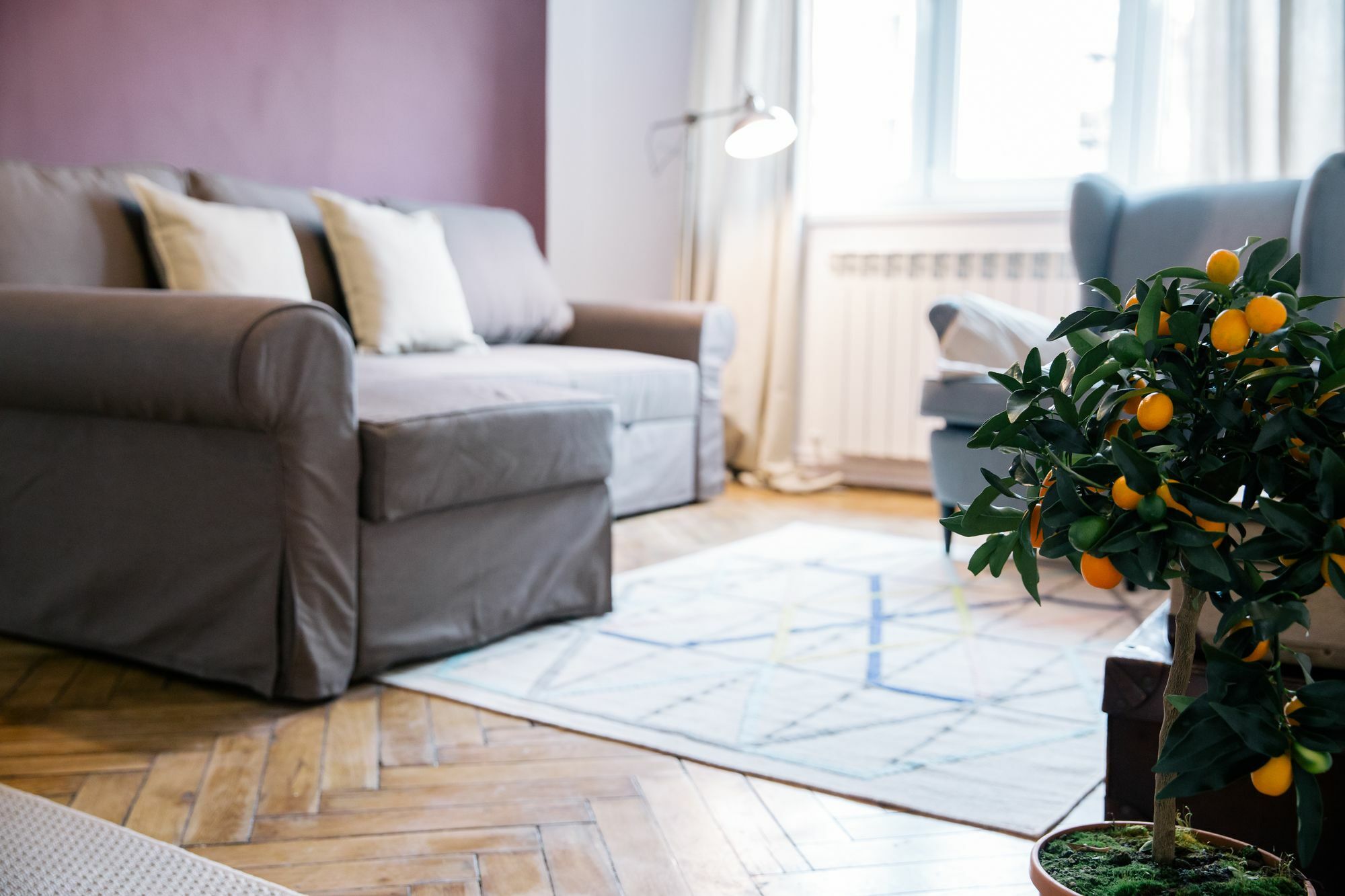 Neo Apartment Horea Cluj-Napoca Ngoại thất bức ảnh